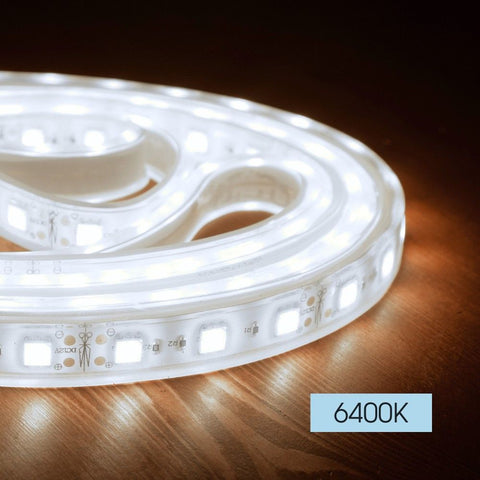 MEGA LED 60 SMD5050 W /reel 5m/ 6400K