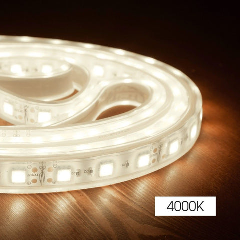 GALO LED120 SMD2835 CL /reel 5m/, 4000K